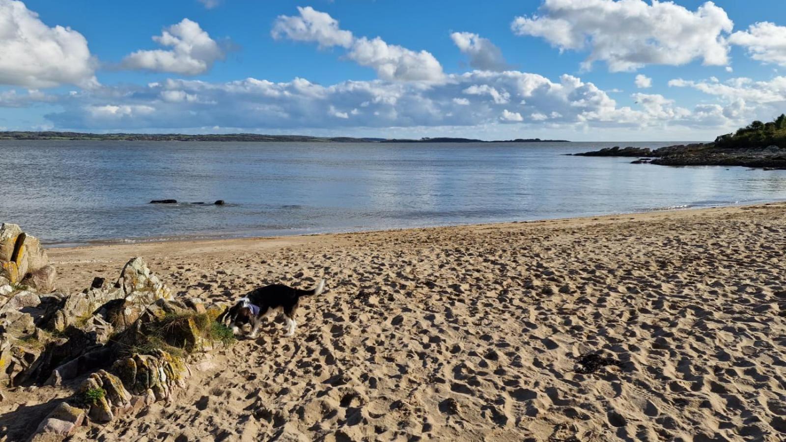 Nordlys Cottage Newton Stewart Εξωτερικό φωτογραφία