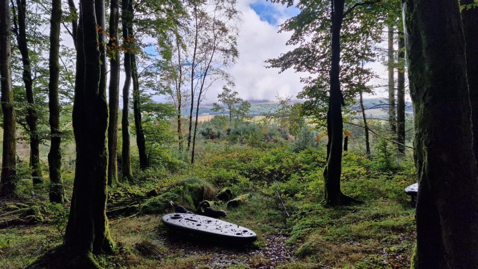 Nordlys Cottage Newton Stewart Εξωτερικό φωτογραφία