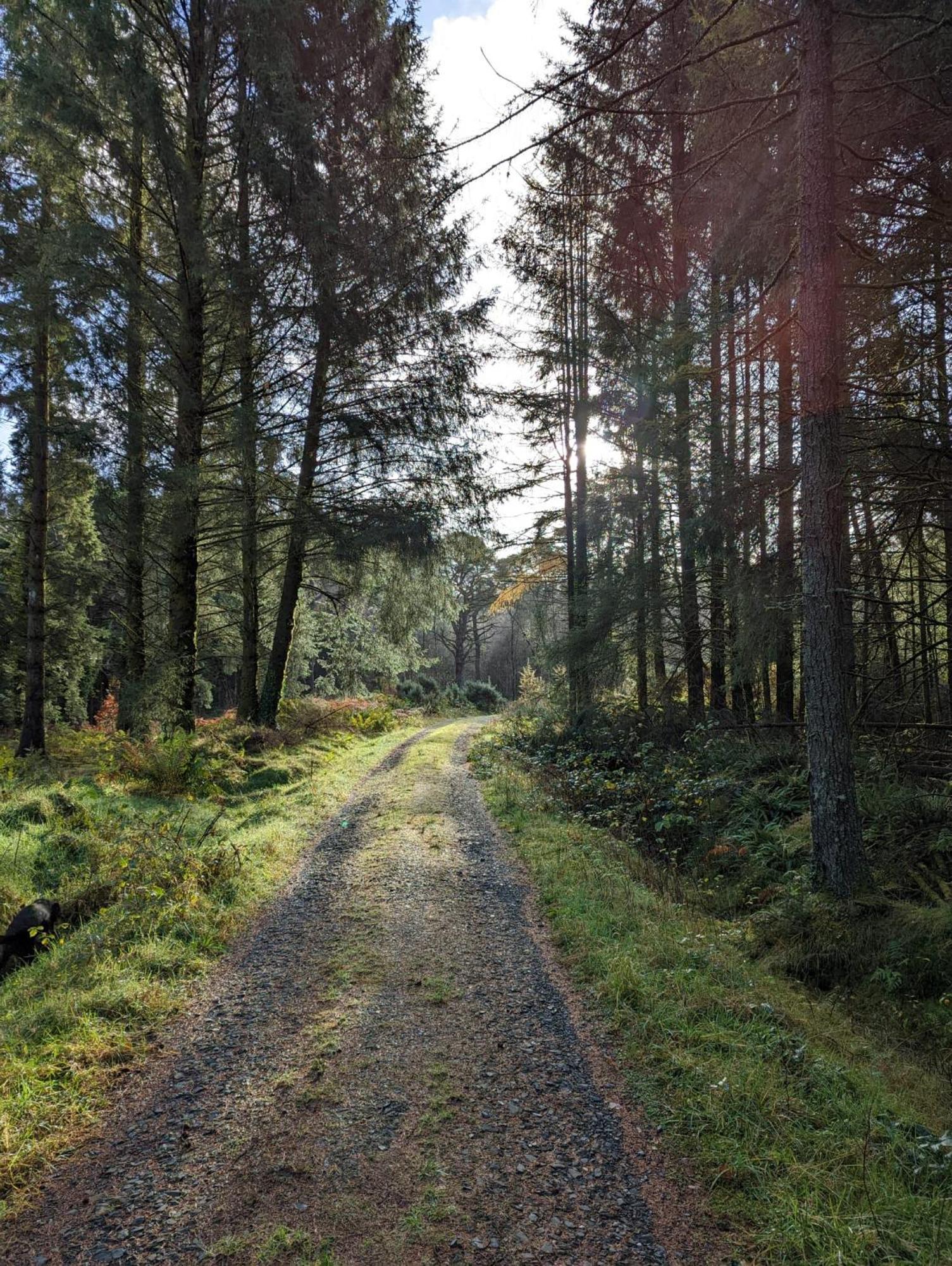 Nordlys Cottage Newton Stewart Εξωτερικό φωτογραφία