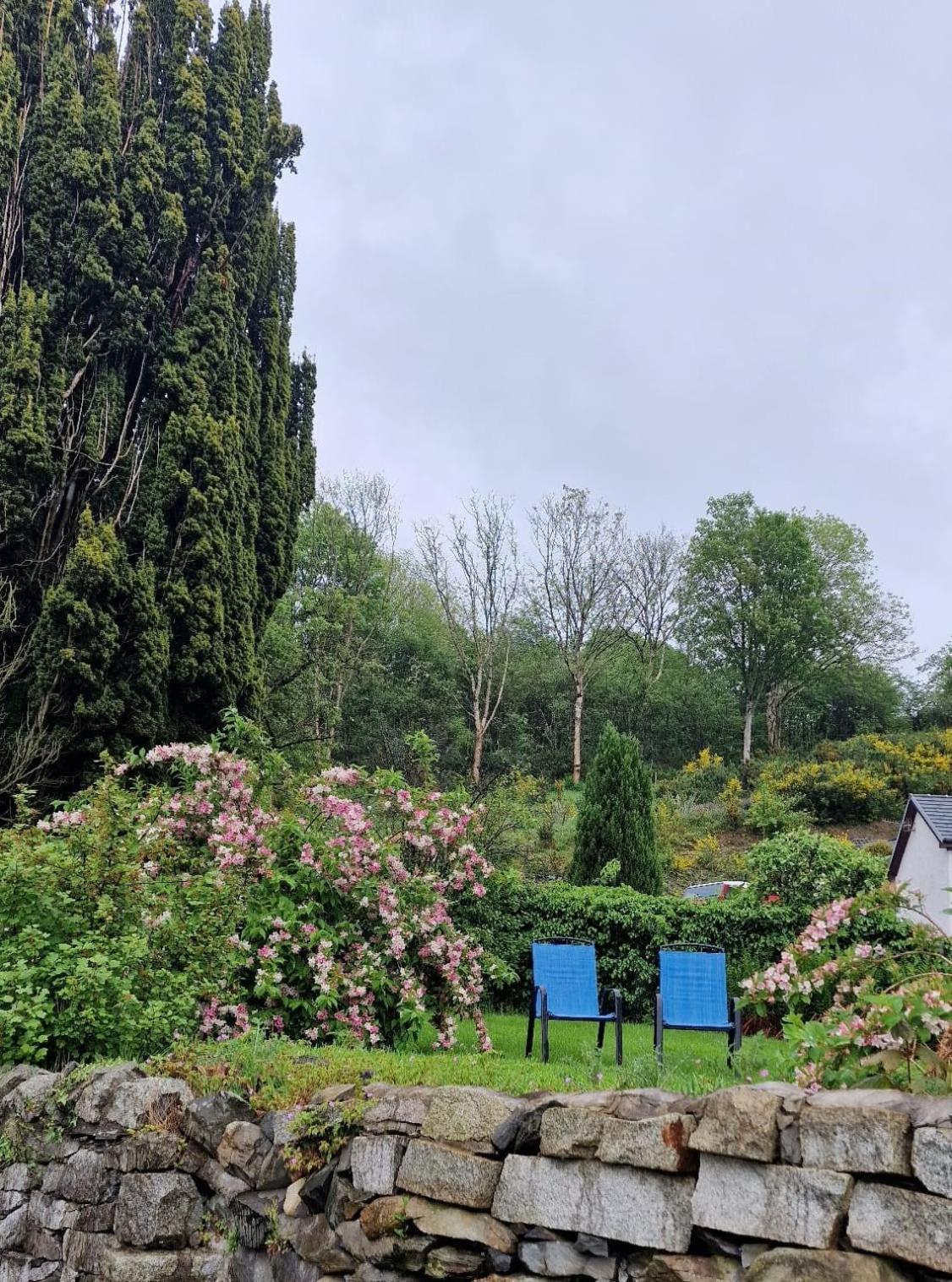 Nordlys Cottage Newton Stewart Εξωτερικό φωτογραφία