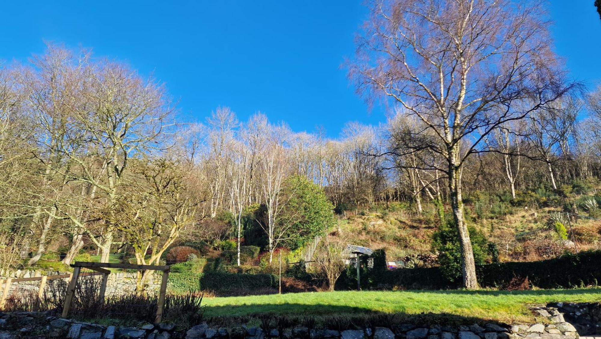 Nordlys Cottage Newton Stewart Εξωτερικό φωτογραφία